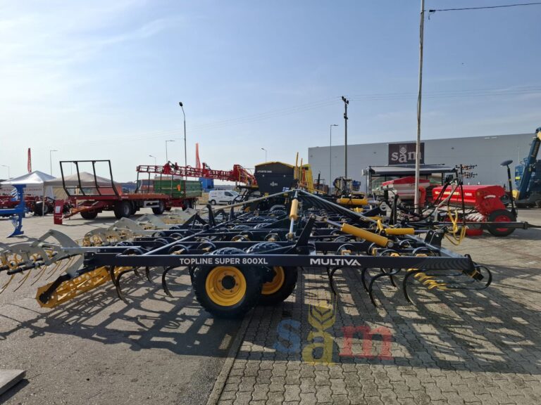 compania noastra imagini (2)