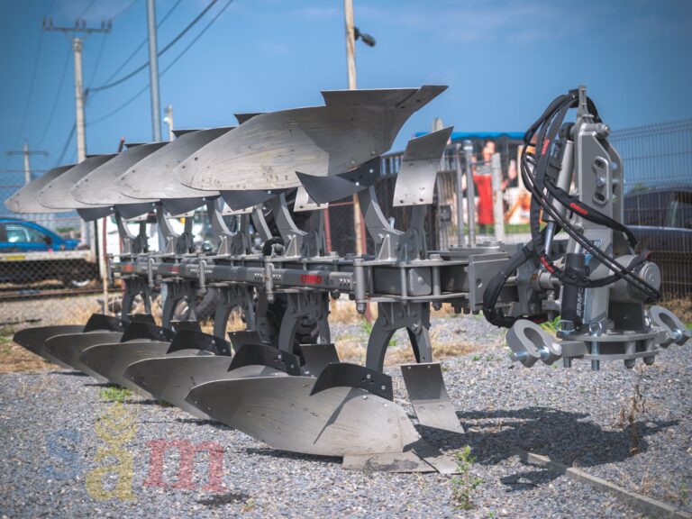 compania noastra imagini (4)